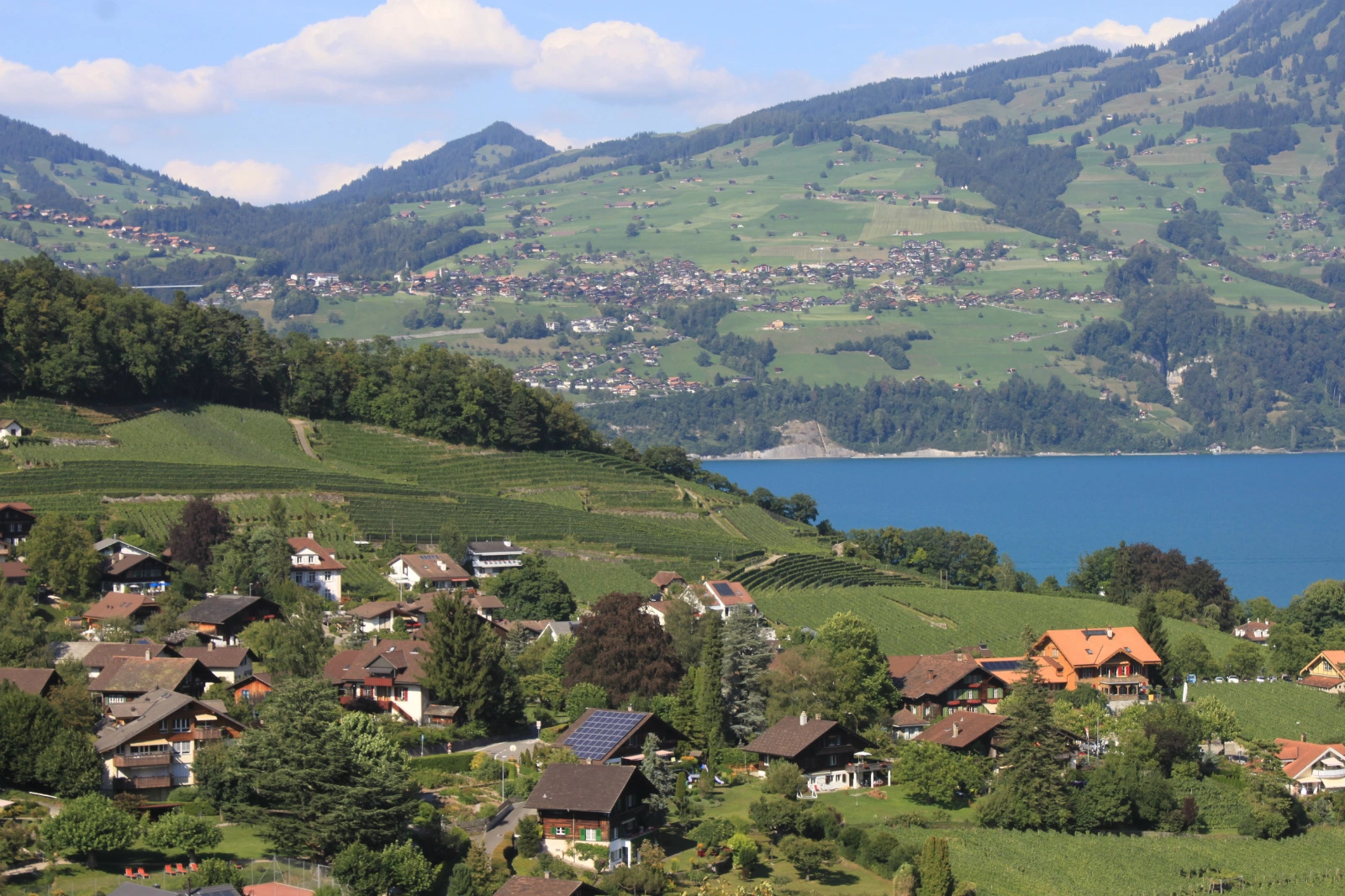 蒙特勒(Montreux)坐落在烟波浩淼的日内瓦湖畔，湖光山色之间，被称为“瑞士的里维埃拉”.